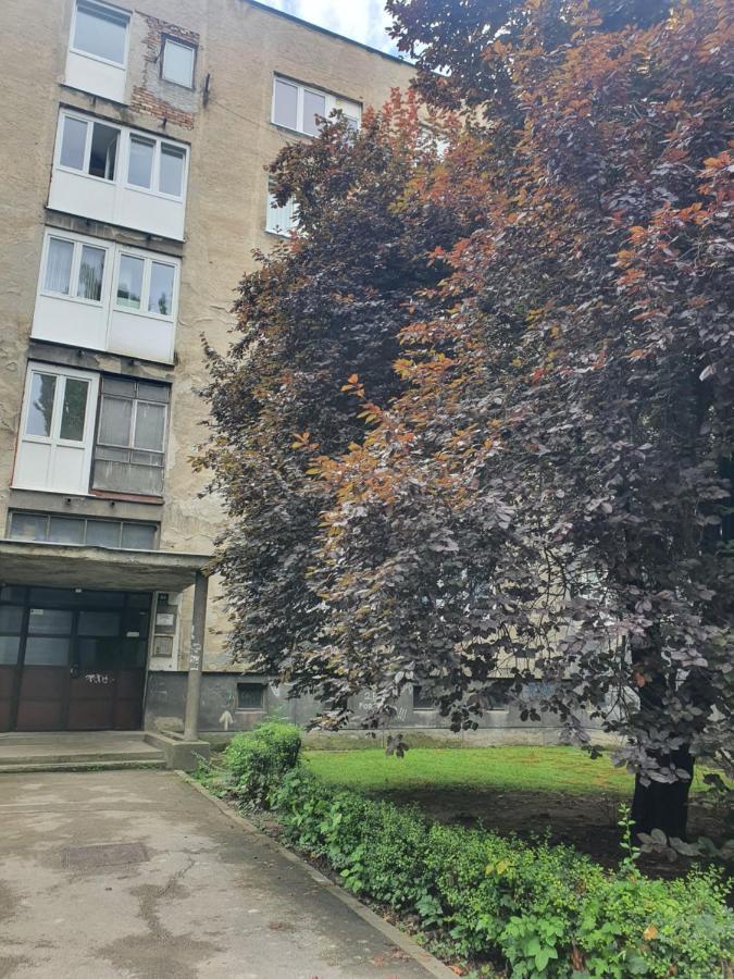 Sarajevo Charm Apartment Zewnętrze zdjęcie